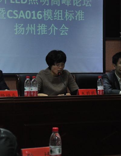 高邮副市长朱莉莉.jpg